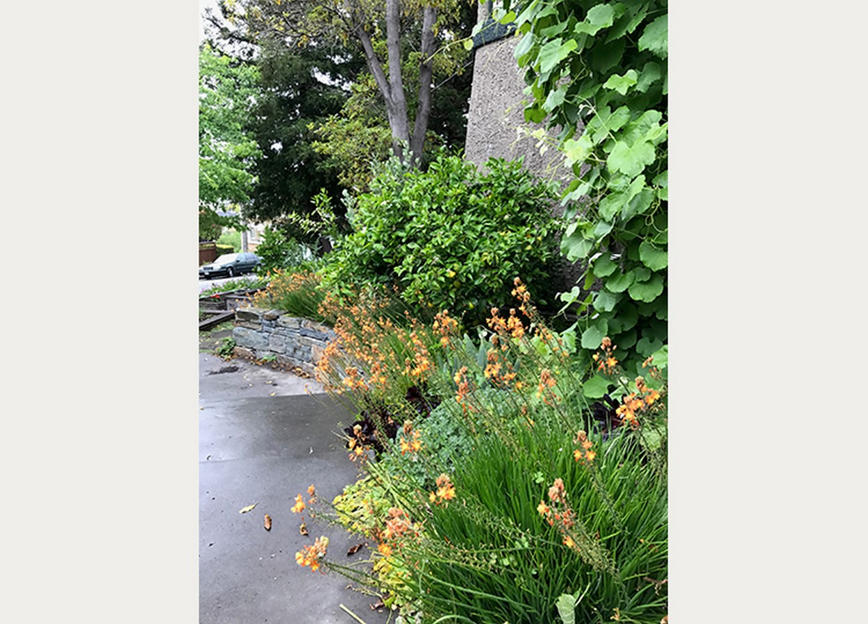 Entry Garden- Sheet3