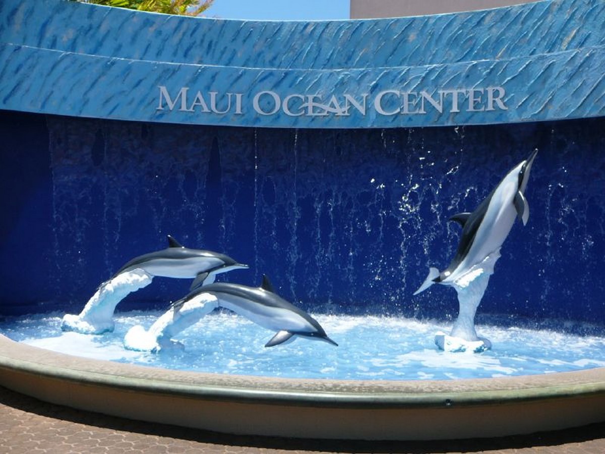 Maui Ocean Center- Sheet1