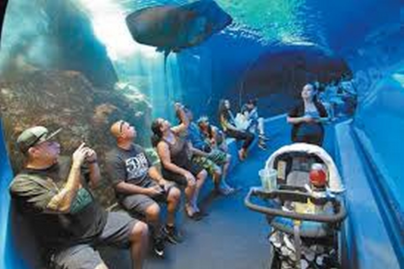 Maui Ocean Center- Sheet2