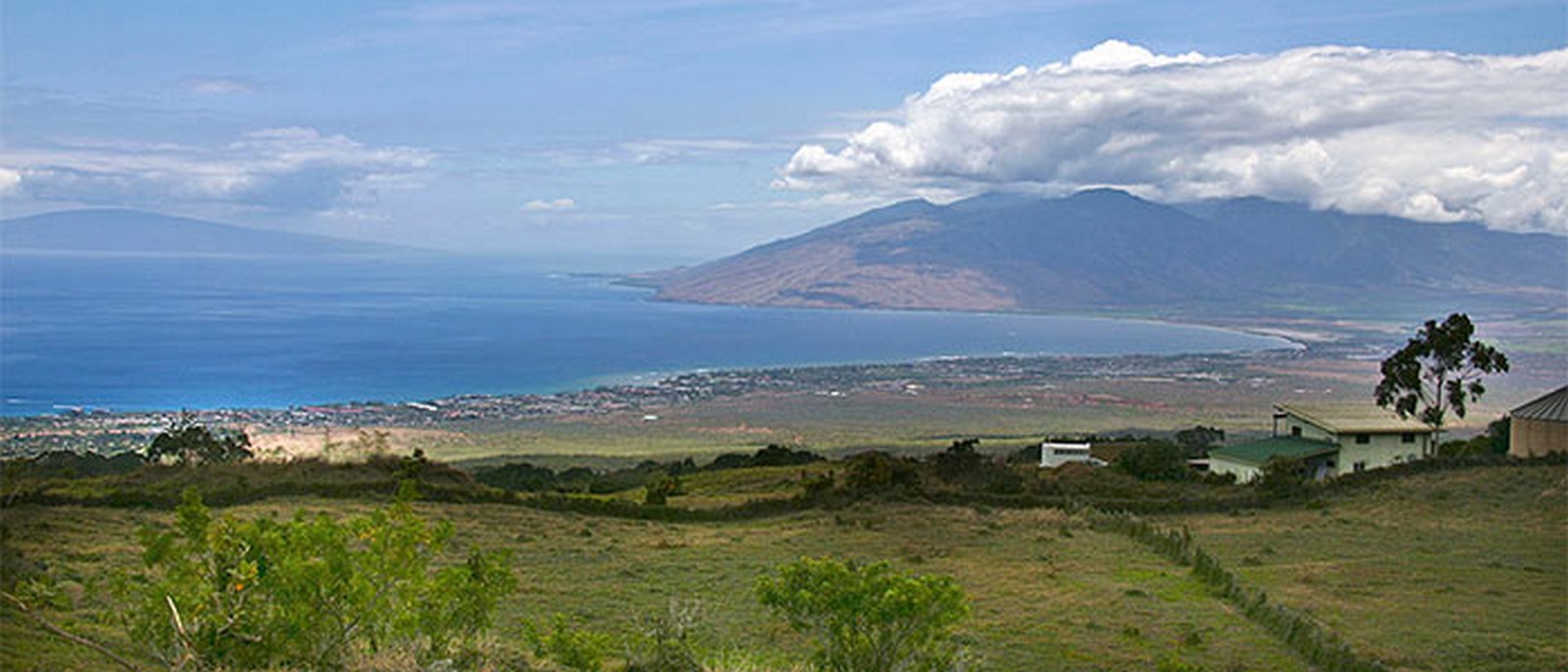 Ulupalakua Ranch- Sheet1