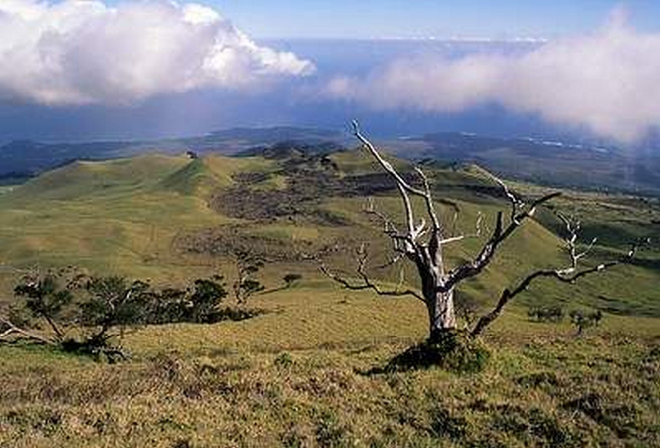 Ulupalakua Ranch- Sheet3