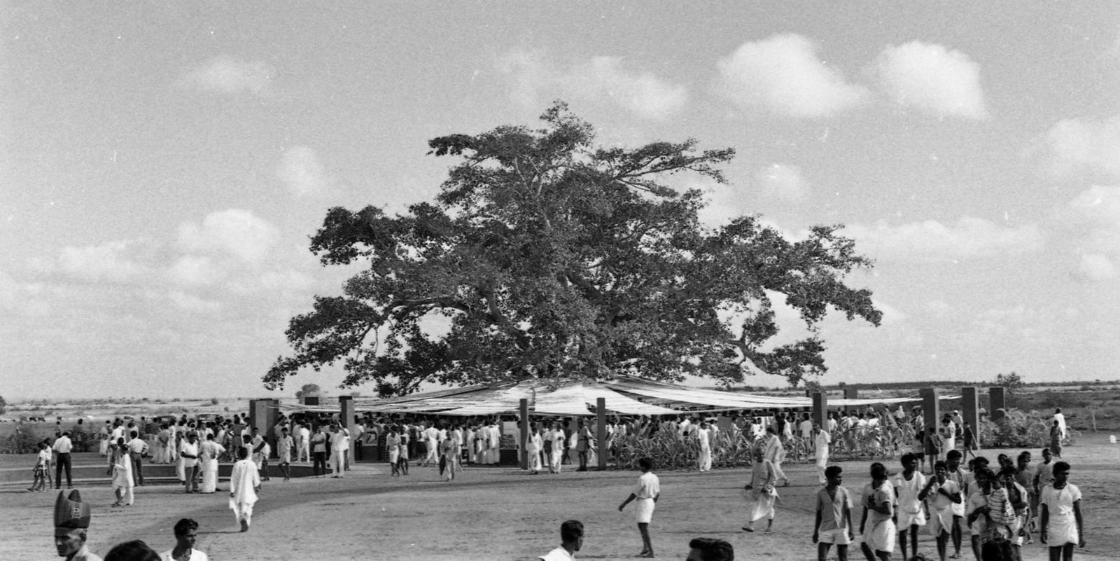 Paolo Tommasi's contribution in shaping Auroville- Sheet15