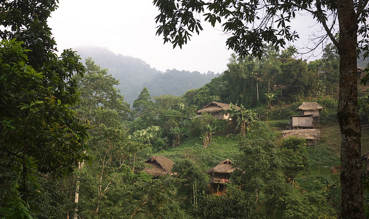 Walking through the streets of Nagaland - Sheet6