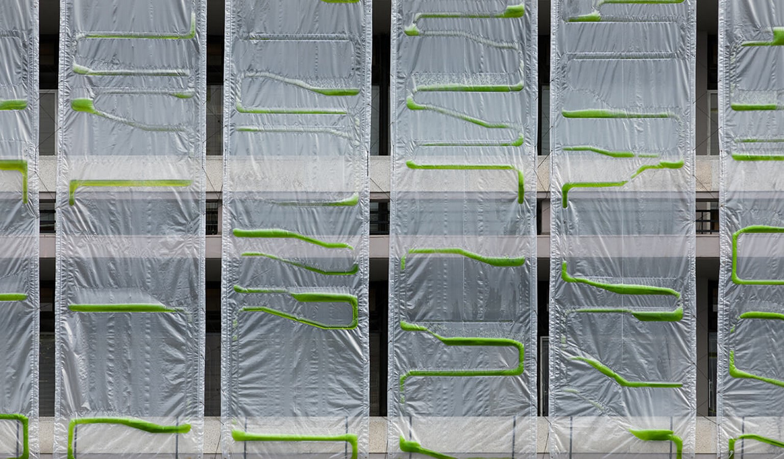 How can architects use Biomimicry while designing sustainable designs- Sheet12