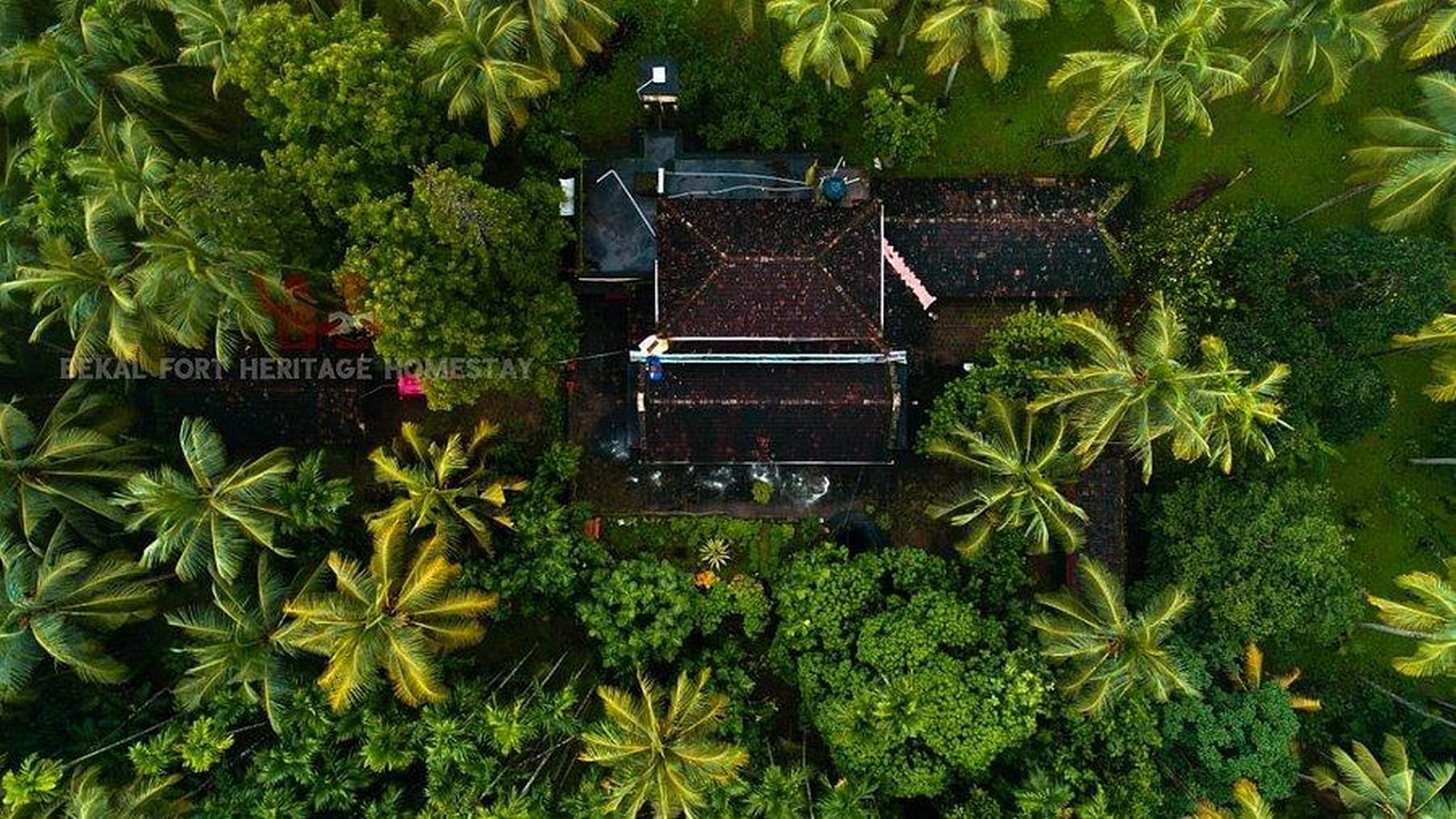 Designing in tropical monsoon ©tripadvisor