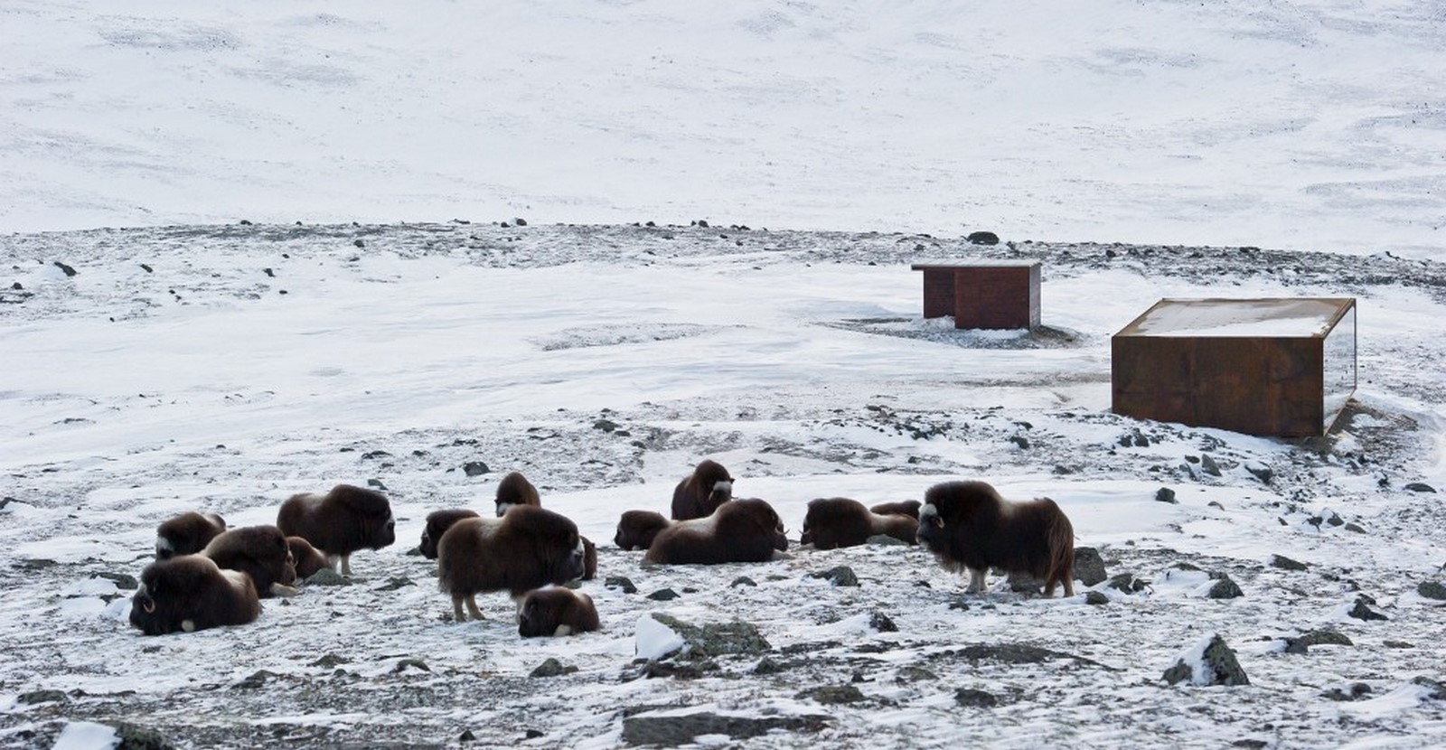 Norwegian Wild Reindeer Centre Pavilion - Sheet1