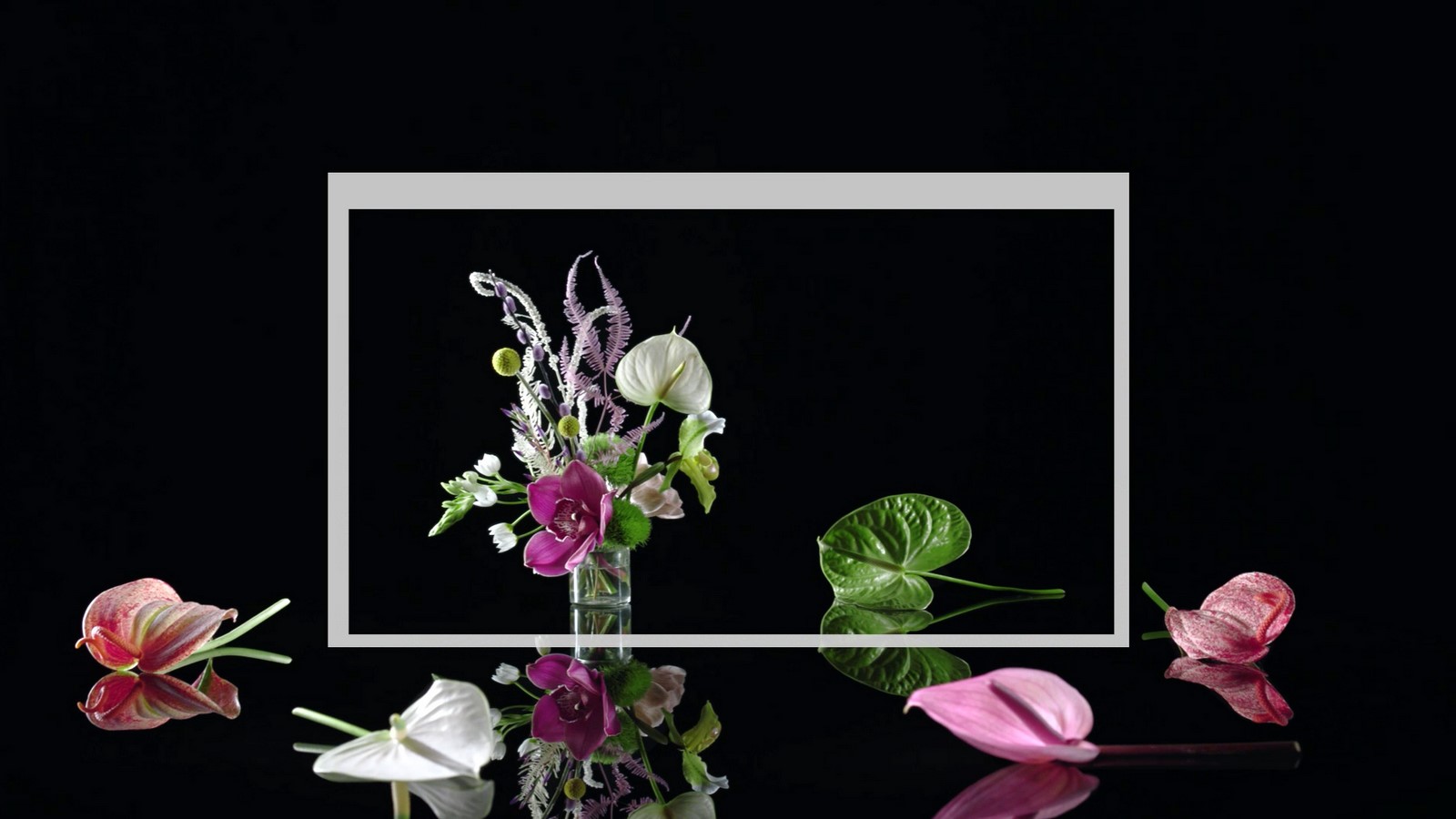 Squarespace - Sheet1