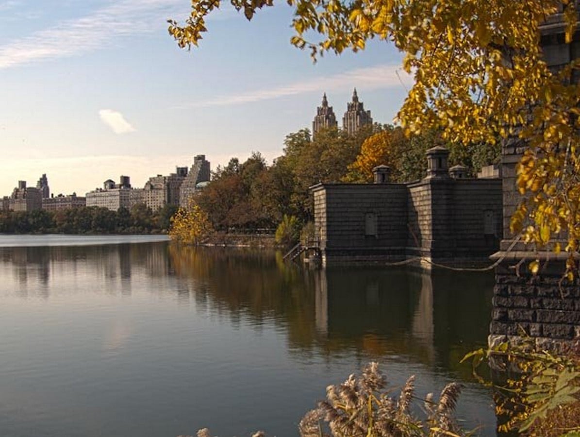 The sustainable and cultural significance of Central Park on New York -Sheet11