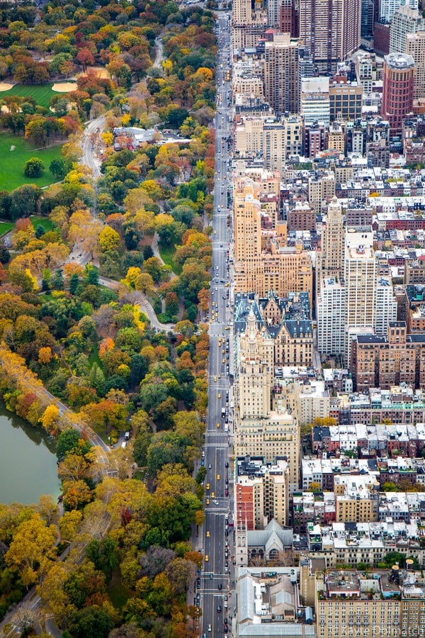 Concrete hub vs Central Park. ©www.nationalgeographic.com