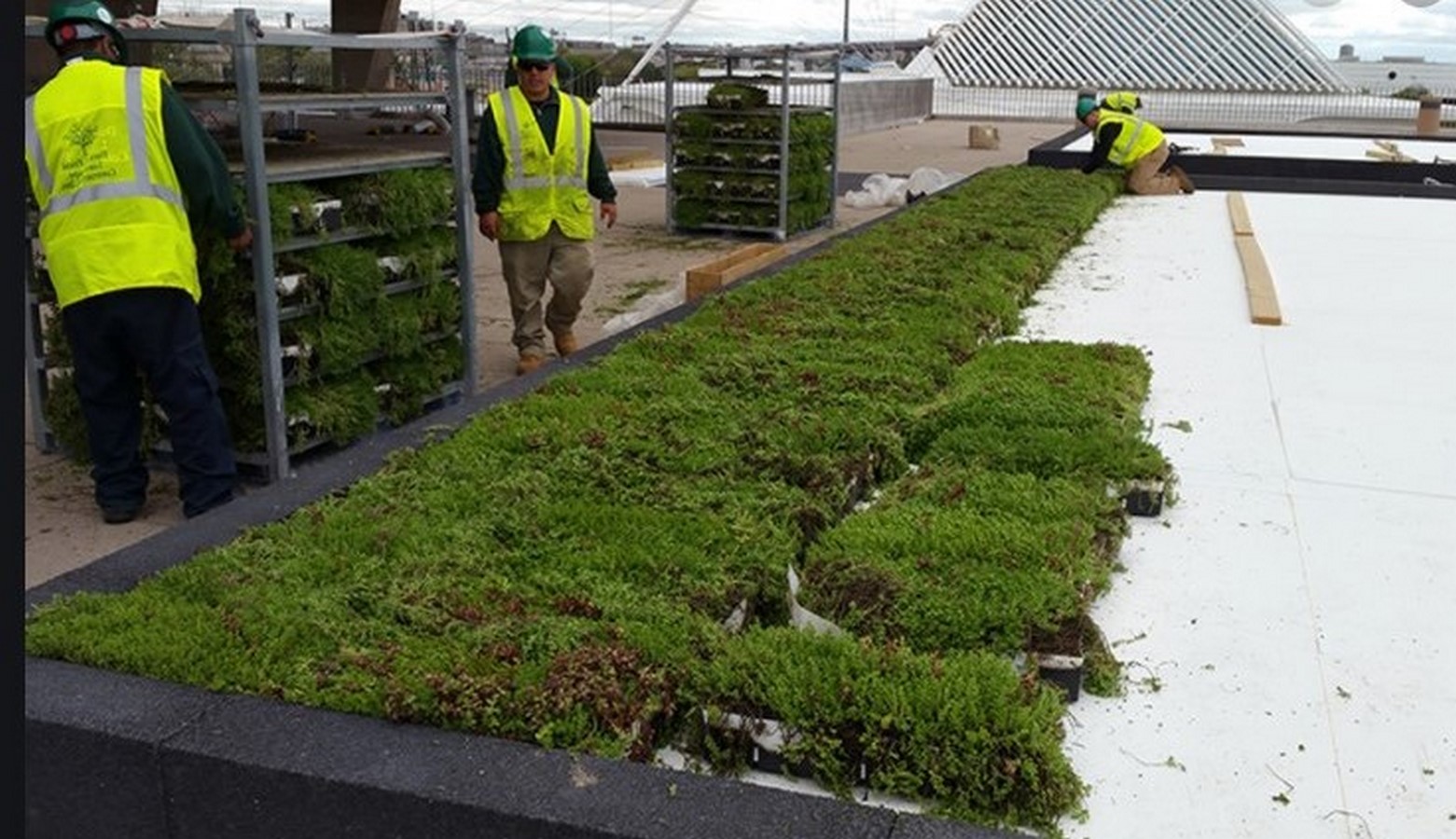 Green roof <span style=