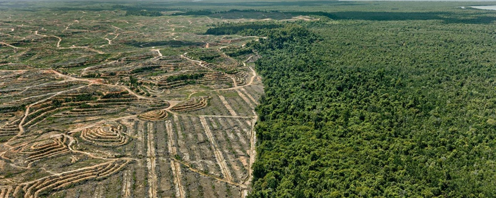 The Development of Ecological Architecture: Ecology vs. Economy - Sheet2