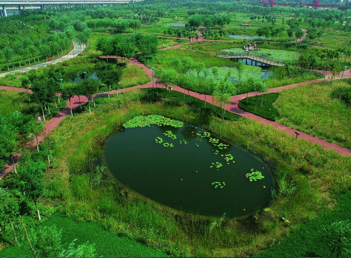 Flood Architecture: The Way Ahead - Sheet