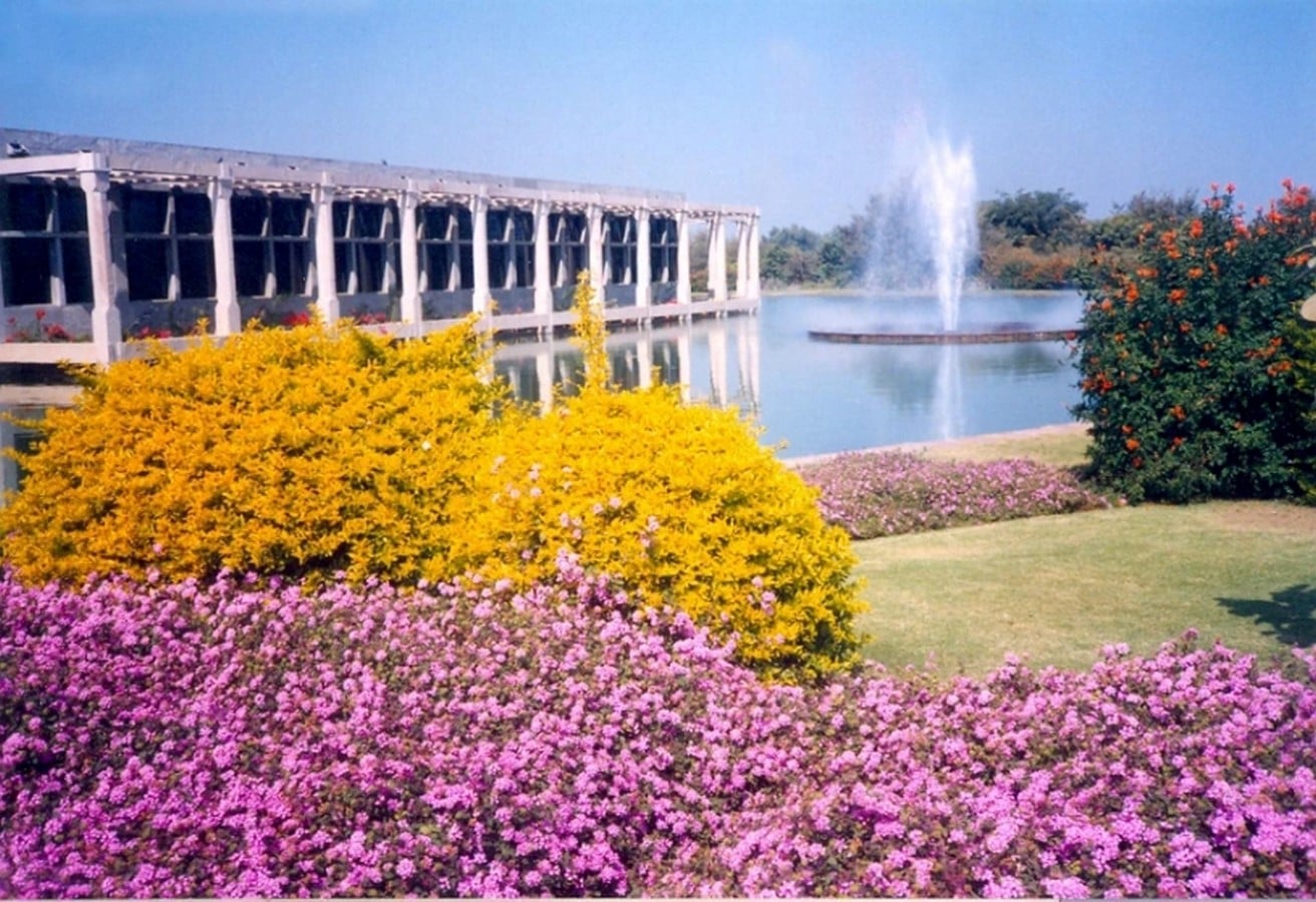 Landscaping of Chambal Chemicals and Fertilizers - Sheet1