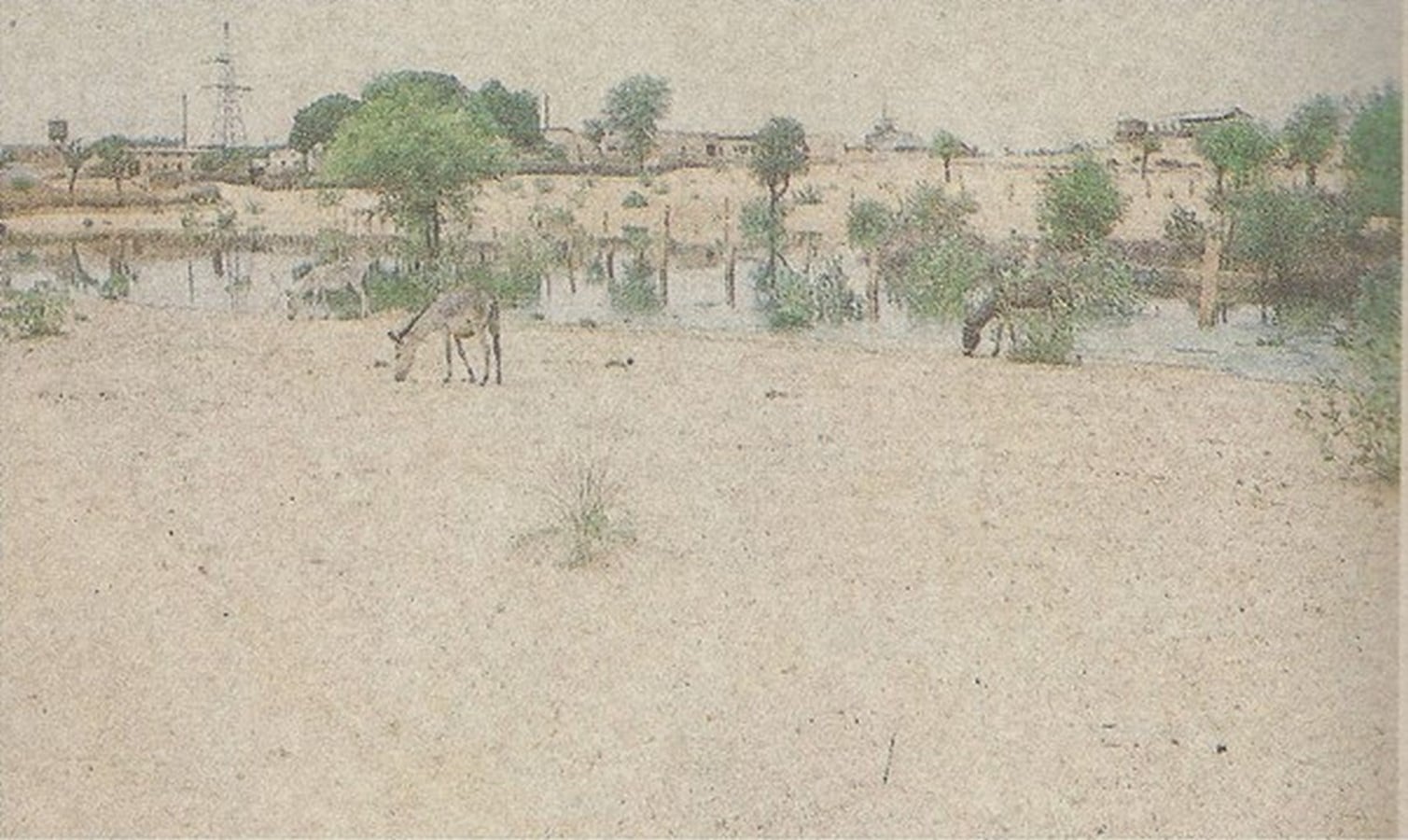 Stormwater Drainage Scheme, Churu - Sheet3