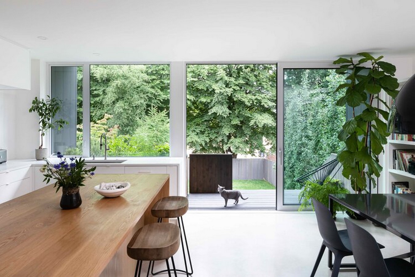 D'Arcy Jones Architects- 15 Iconic Projects