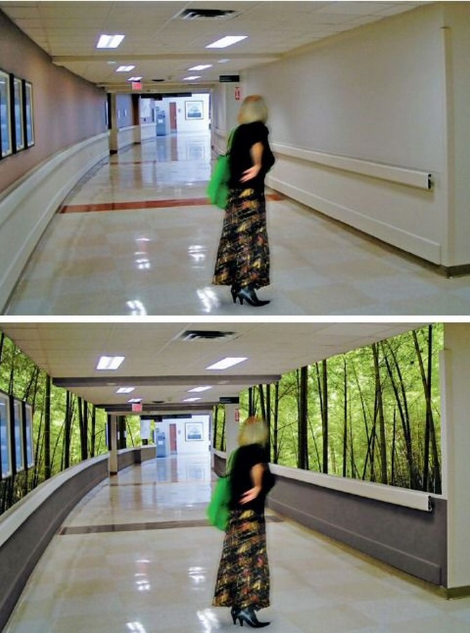 Healthcare Architecture: The psychology behind healing - Sheet2