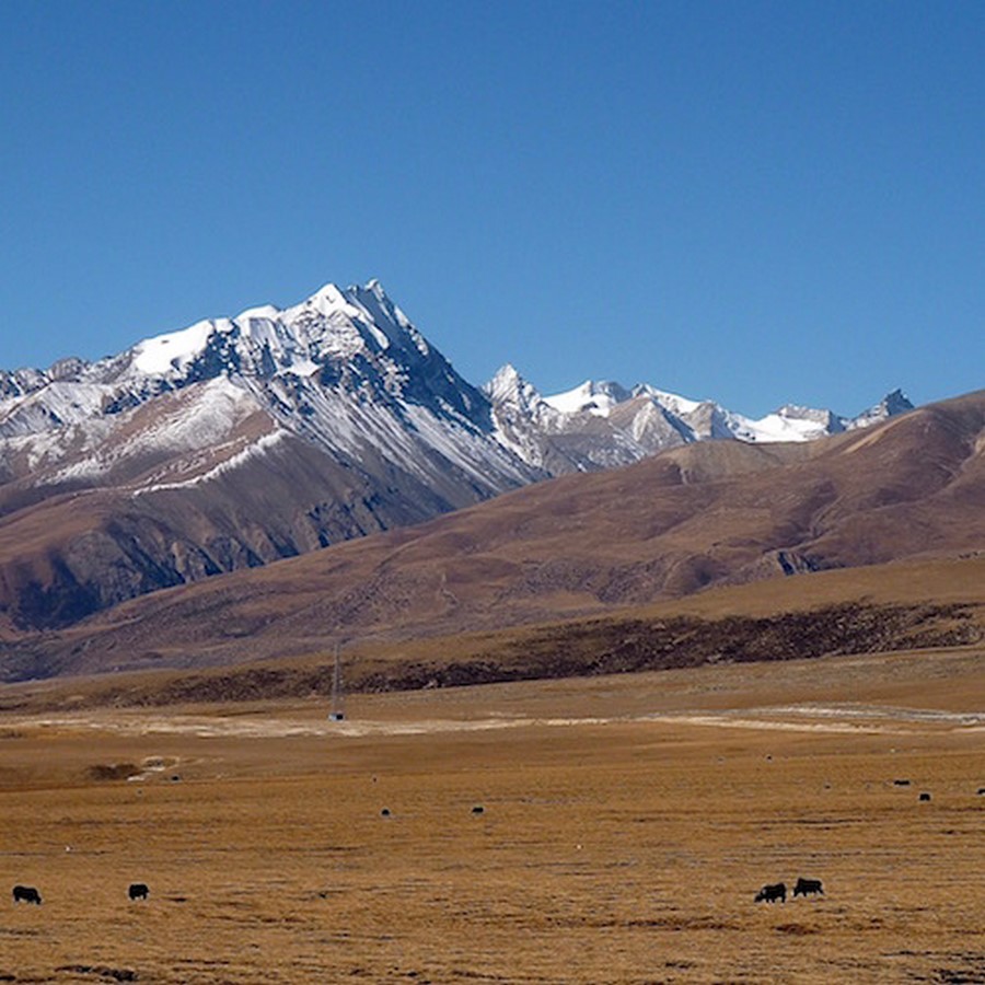 Changtang, Tibet - Sheet2