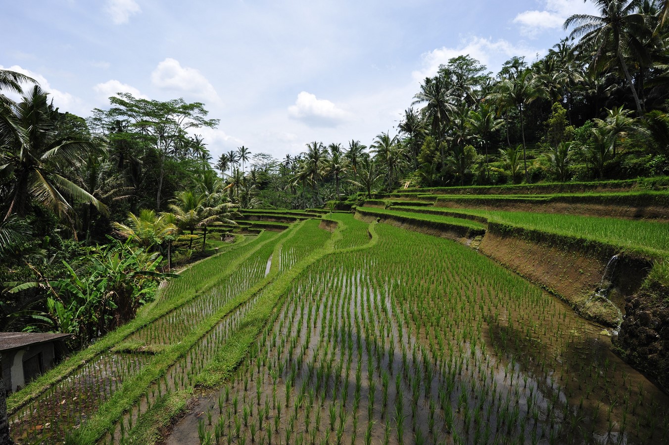 10 Reasons why architects must visit Bali - Sheet3