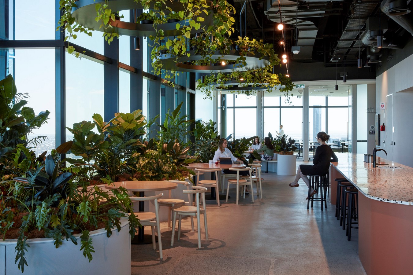 Transurban George by Cox Architecture - Sheet5