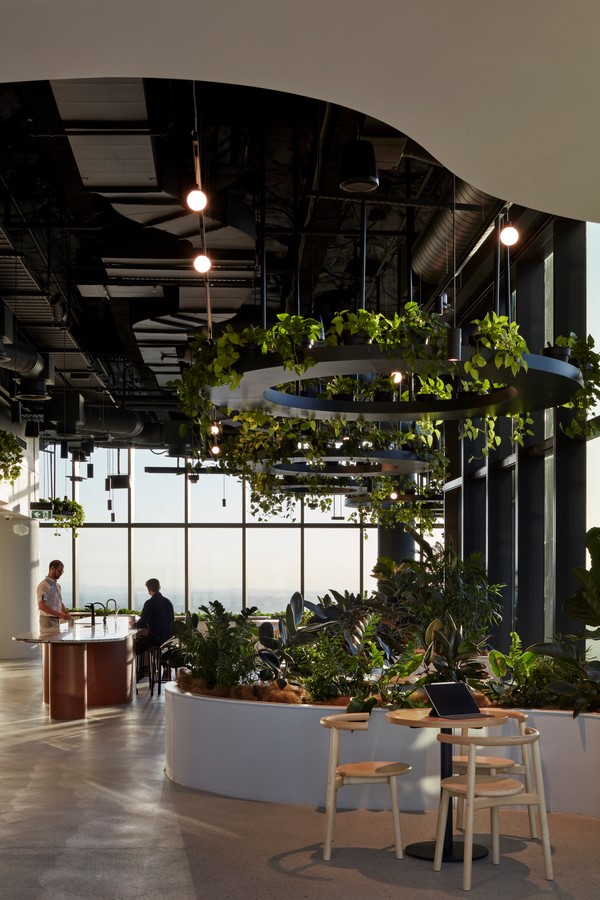 Transurban George by Cox Architecture - Sheet8