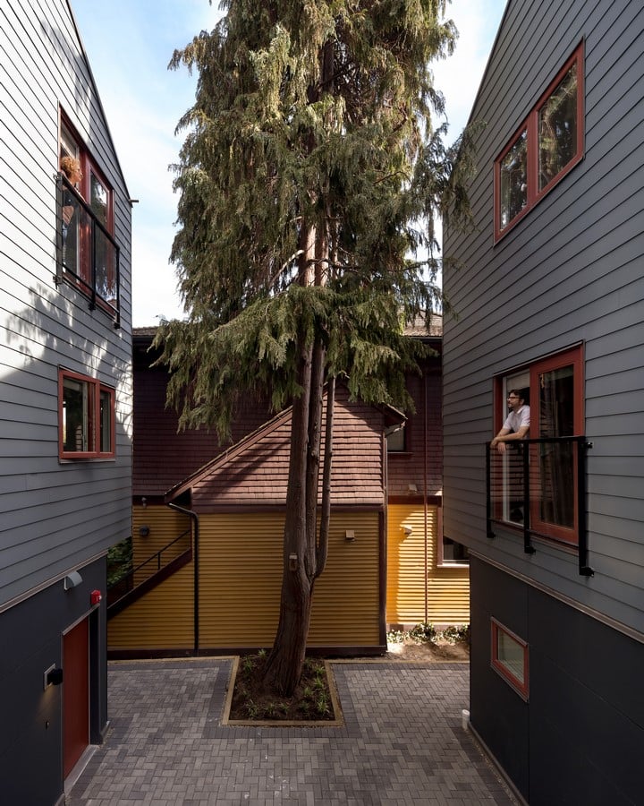 Mole Hill Missing Mi By Haeccity Studio Architecture - Sheet4