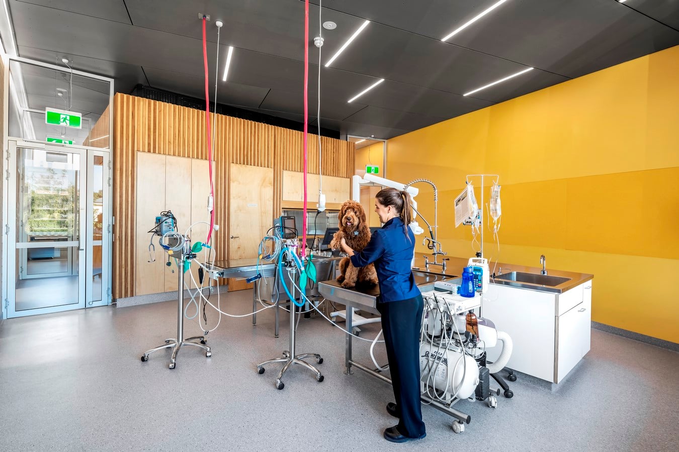 Walkerville Vet By Khab Architects - Sheet2