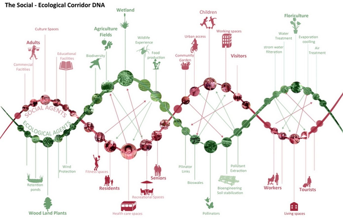 10 Things you did not know about Ecological Planning & Design - Sheet13