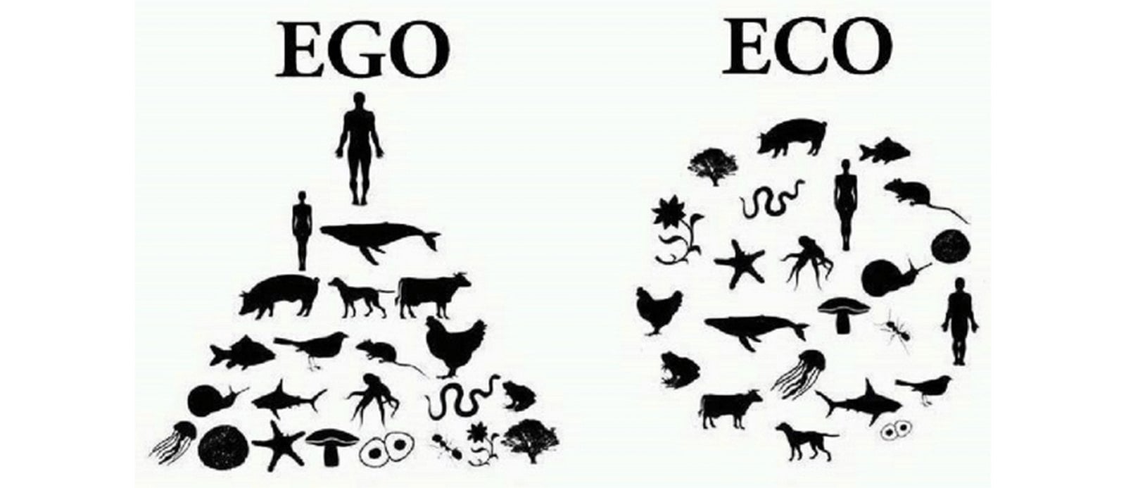 10 Things you did not know about Ecological Planning & Design - Sheet2