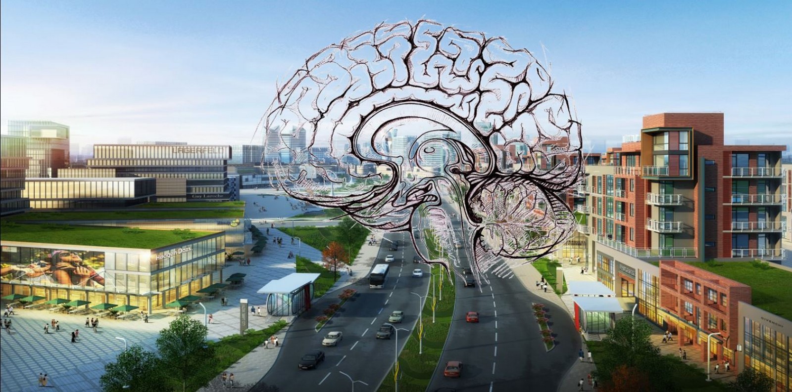 How to better understand spaces through the study of neuroarchitecture? - Sheet2