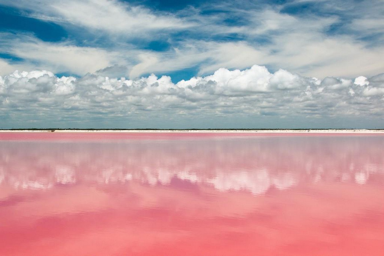 Laguna Rosada, Telchac Puerto - Sheet1