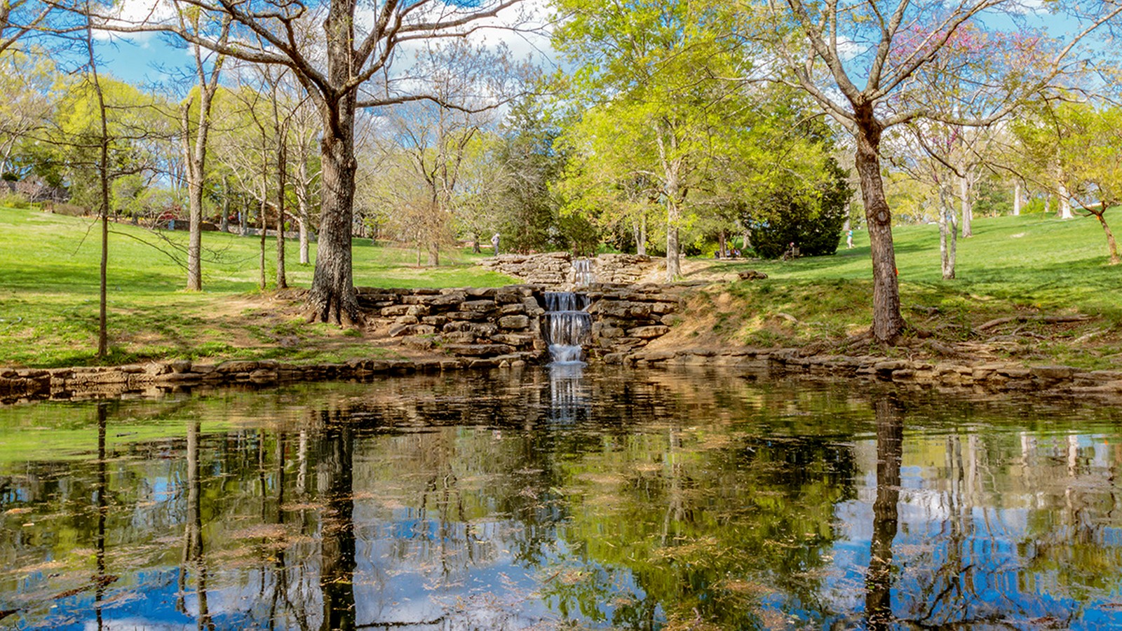 Cheekwood Botanical Garden - Sheet1