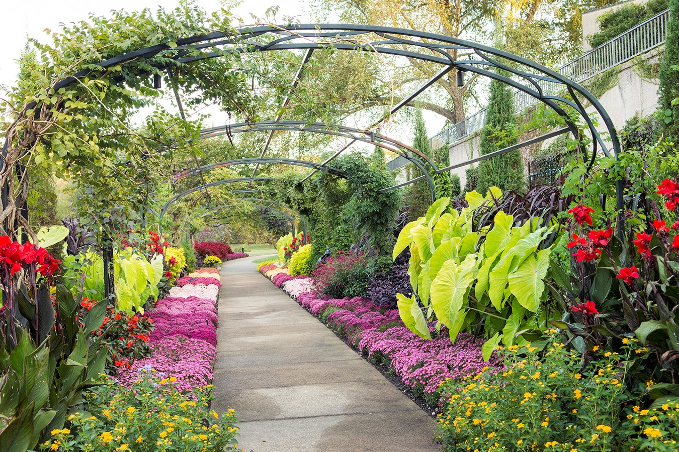 Cheekwood Botanical Garden - Sheet2