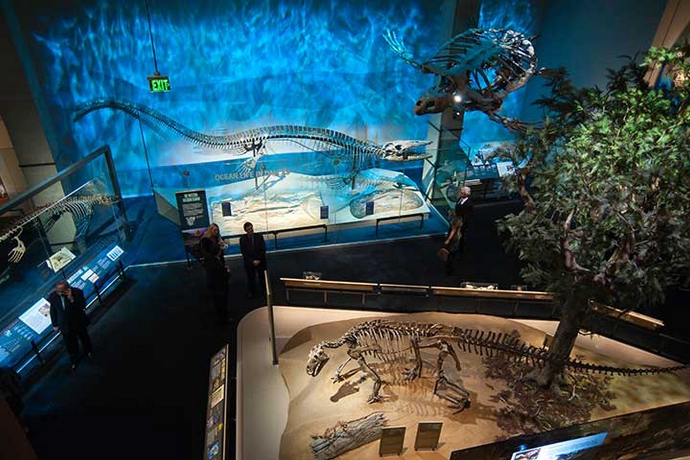 Perot Museum of Nature and Science, Designed by: Architect Thom Mayne - Sheet2