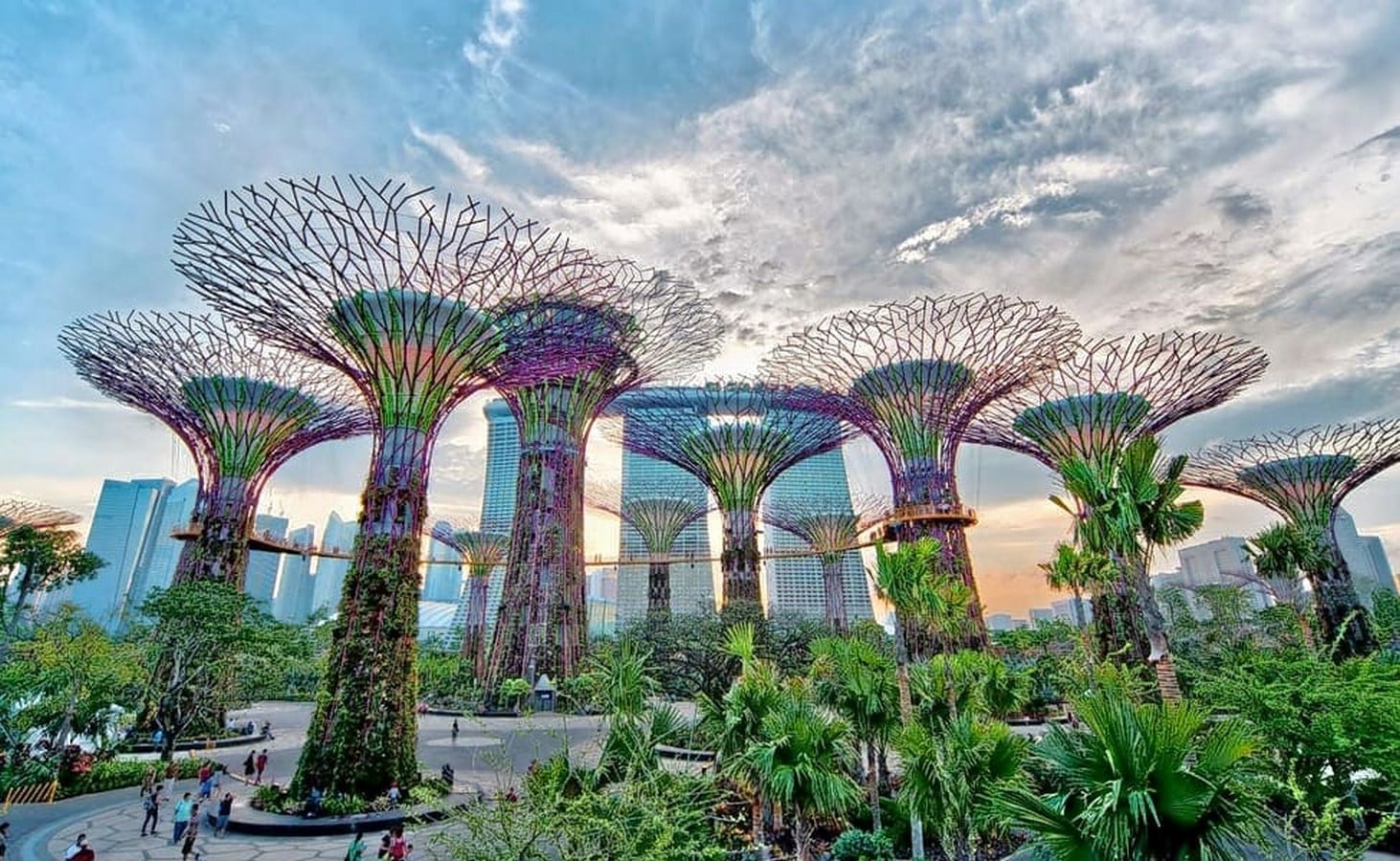 Characteristics of Biomorphic Architecture - Sheet2