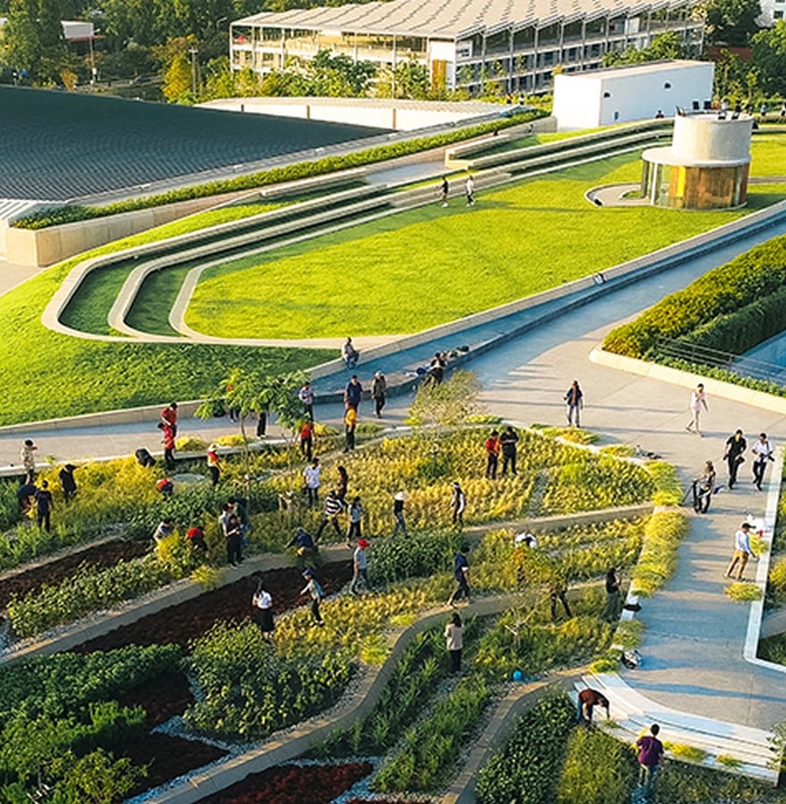 Thammasat University Rooftop Farm@httpsdirt.asla.org