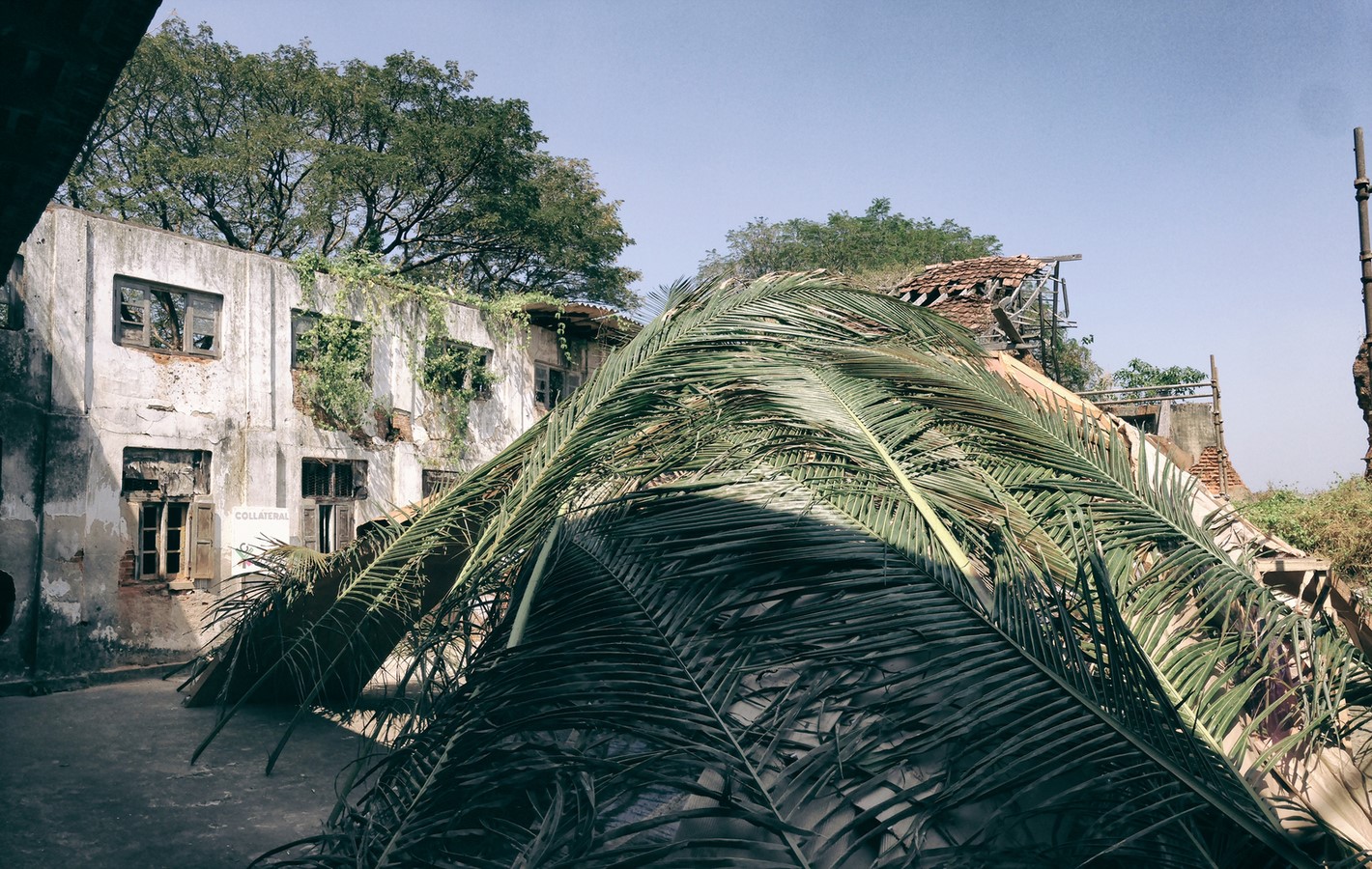 The Shell Mycelium Pavilion, India - Sheet3