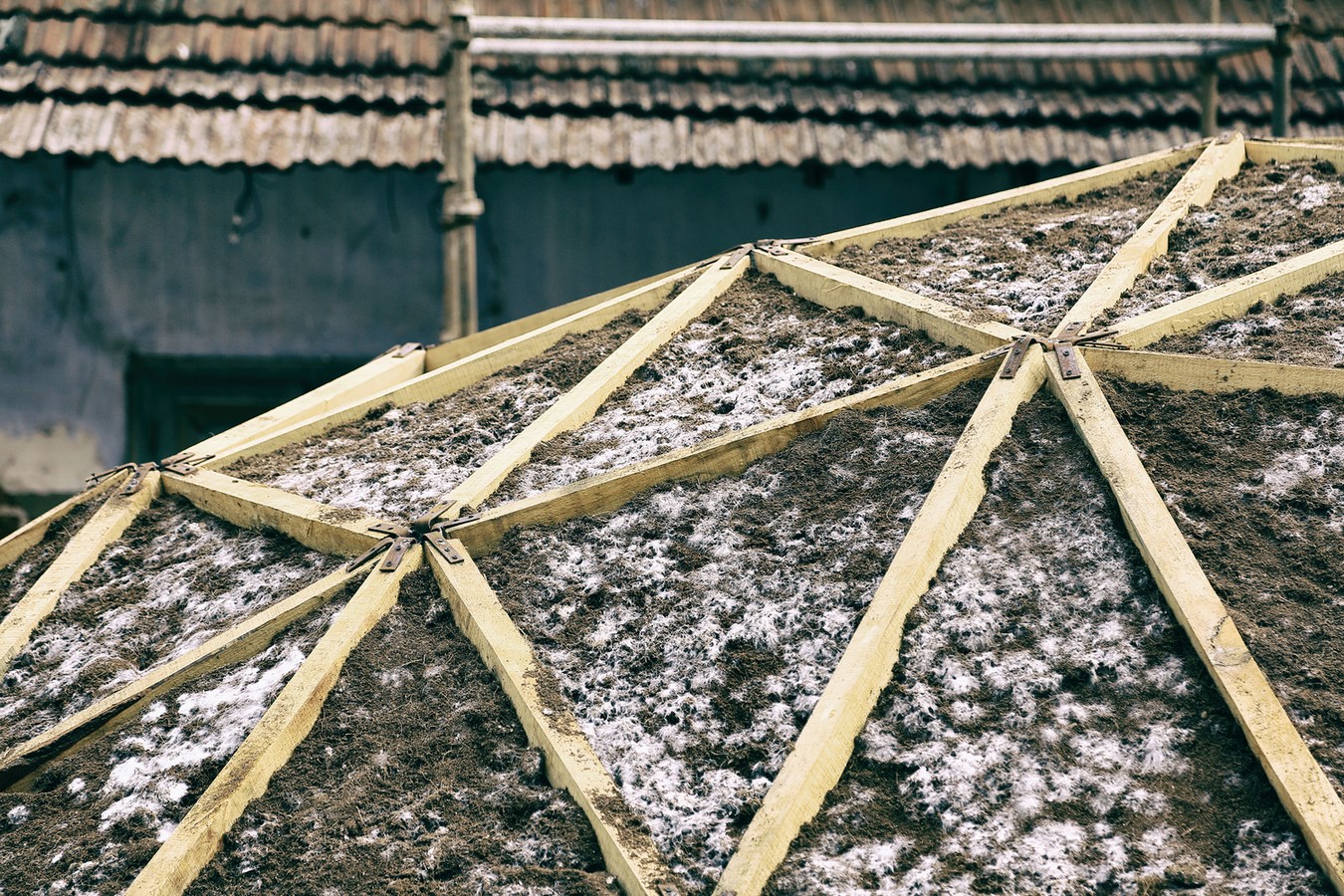The Shell Mycelium Pavilion, India - Sheet4