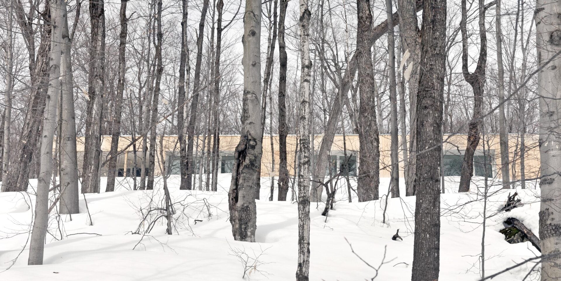 La Shed Architecture- 15 Iconic Projects