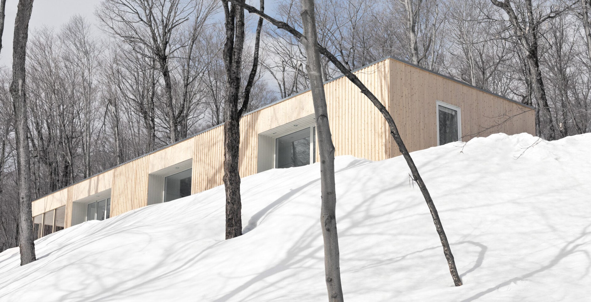 La Shed Architecture- 15 Iconic Projects