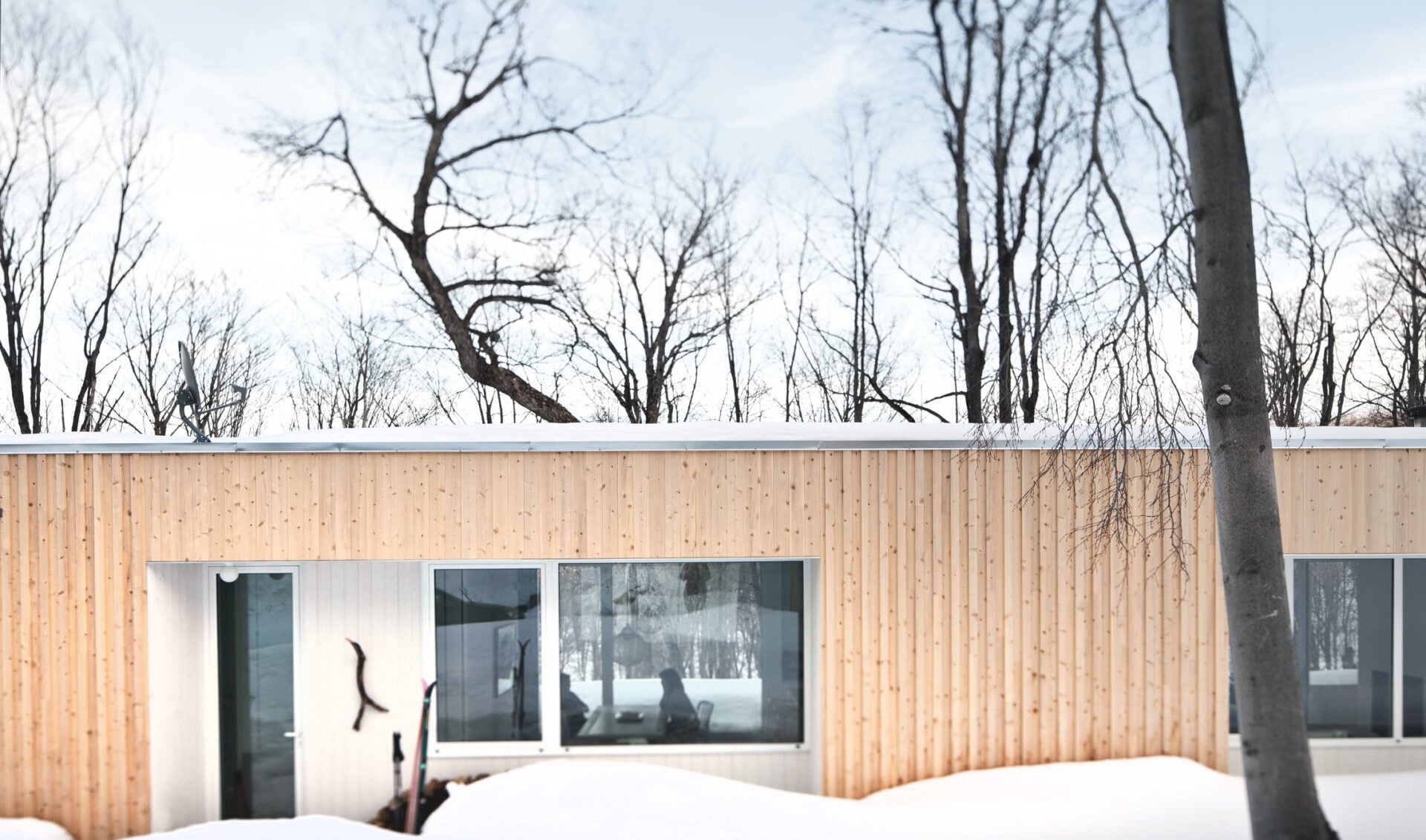 La Shed Architecture- 15 Iconic Projects