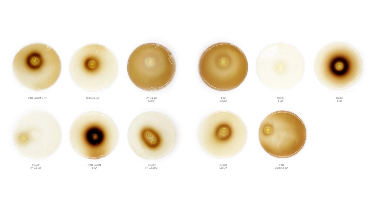 Totems by Neri Oxman: Biological and Environmental augmentation - Sheet5