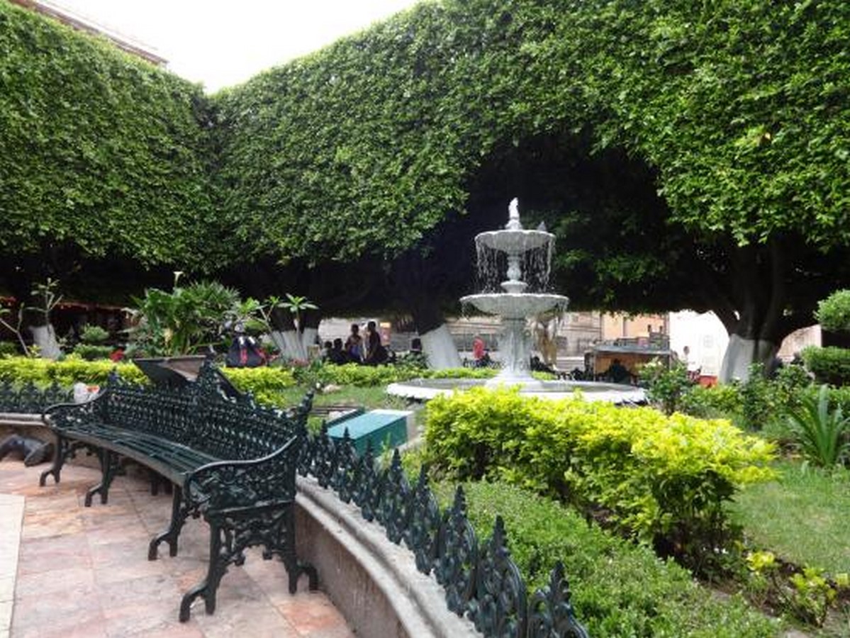 The Jardin de la Union - Sheet1