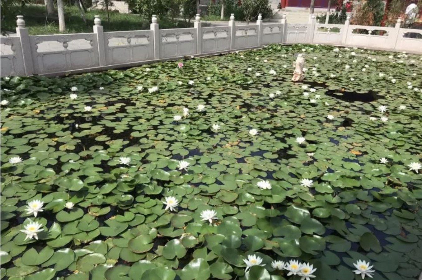 A religious stop at the Chaoyin Temple - Sheet3