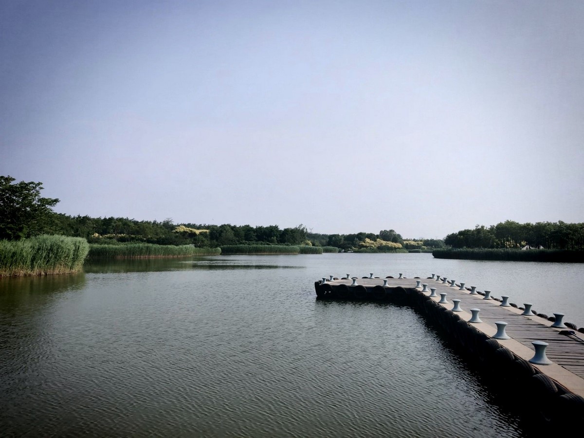 Natural escape through the Tianjin Lingang Ecology Wetland Park - Sheet2