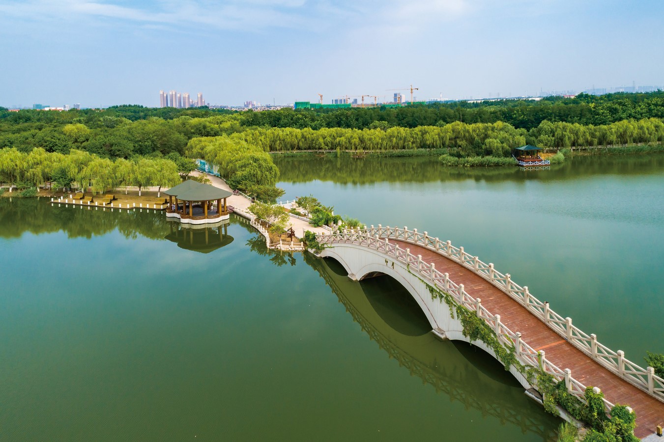 Tanggu Forest Park - Sheet1