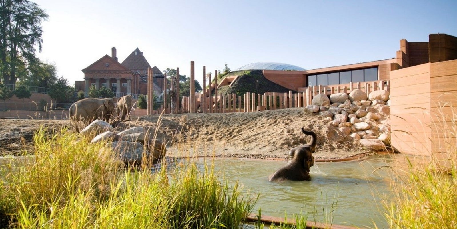 Elephant House, Denmark by Norman Foster: Home away from Home - Sheet5