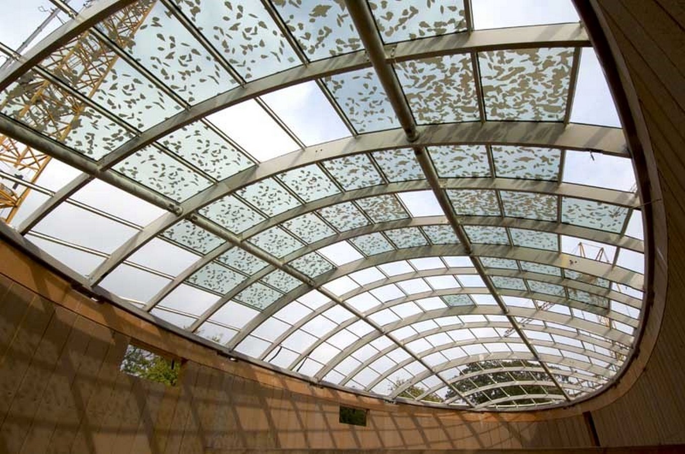 IMAGE 8_Glazed dome covering paddocks_©Nigel Young_Foster + Partners
