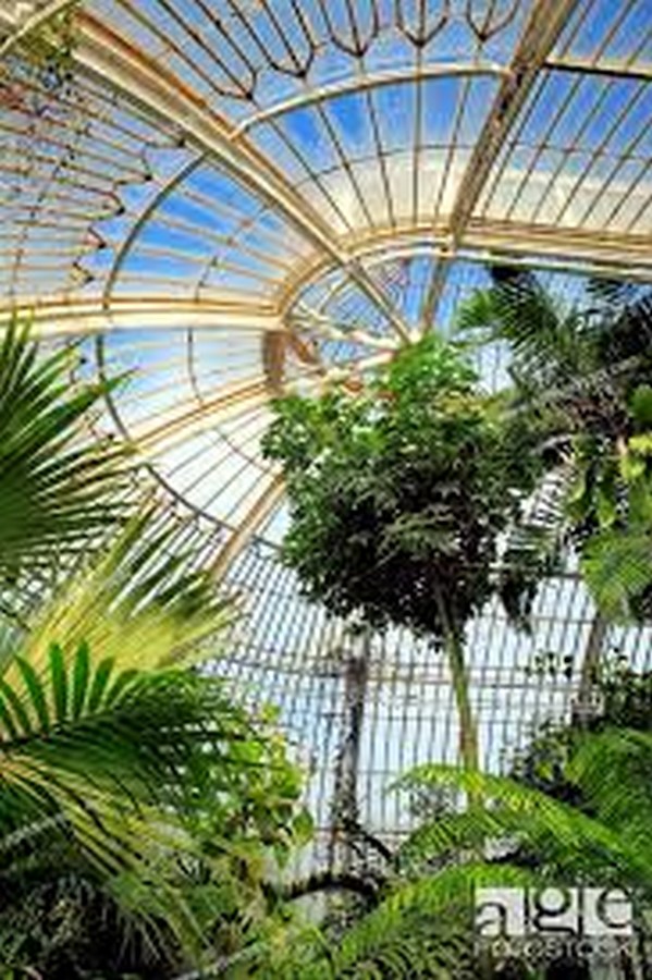 Palm House, Kew Gardens - Sheet3