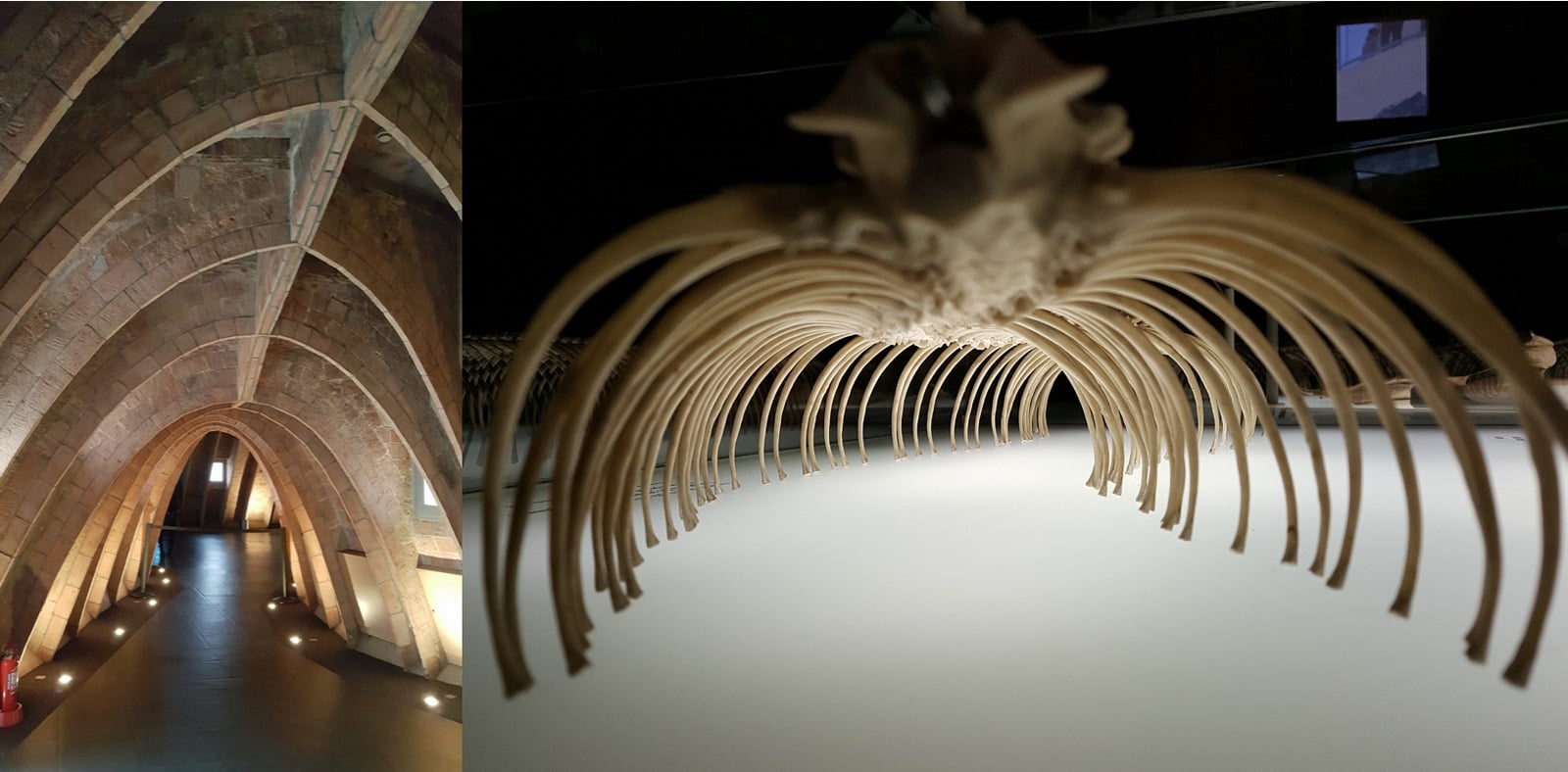Article in Focus Architecture inspired by nature- TEDxVienna - Sheet4