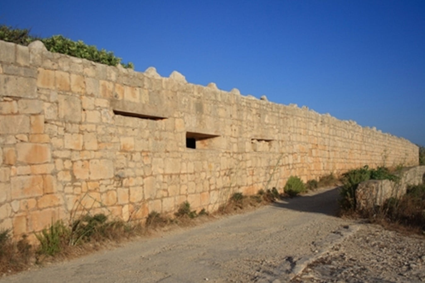 The polygonal fort is the type of fortification that originated in the late 18th century in response to the vulnerabilities of star forts. This type of fortification saw the evolution of the forts into a bastion less system. The bastion was no longer the most significant element needed to protect the curtain wall. - Sheet6